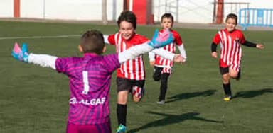 Trabajo en Equipo